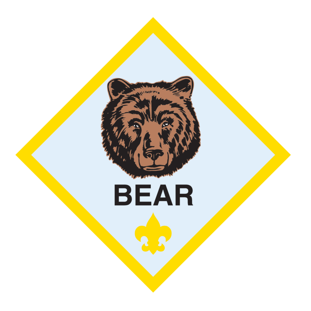 Bear Insignia
